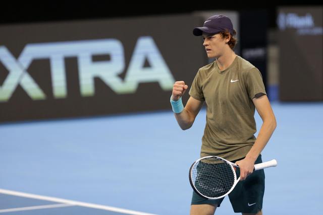 条款的情况 条款的情况