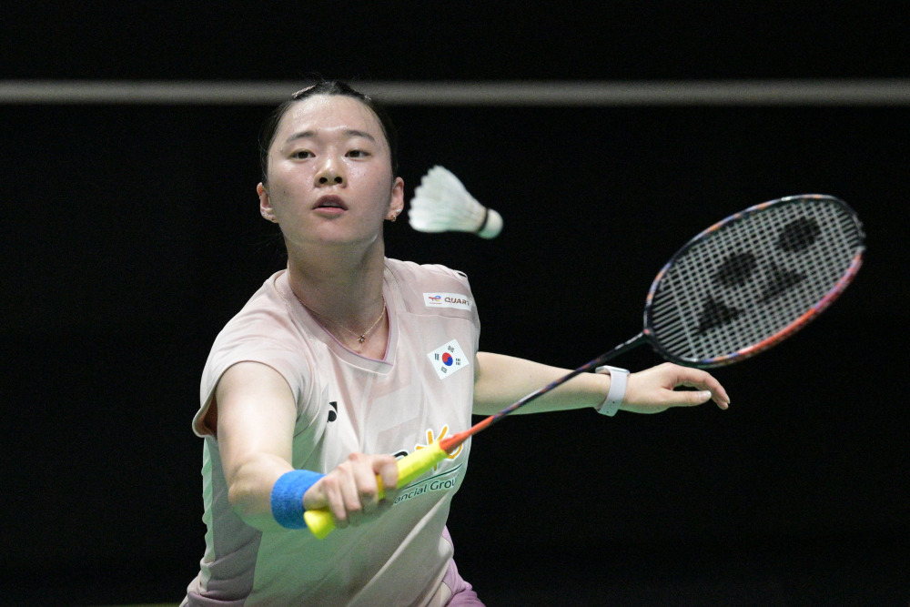 多粉丝对迈 多粉丝对迈